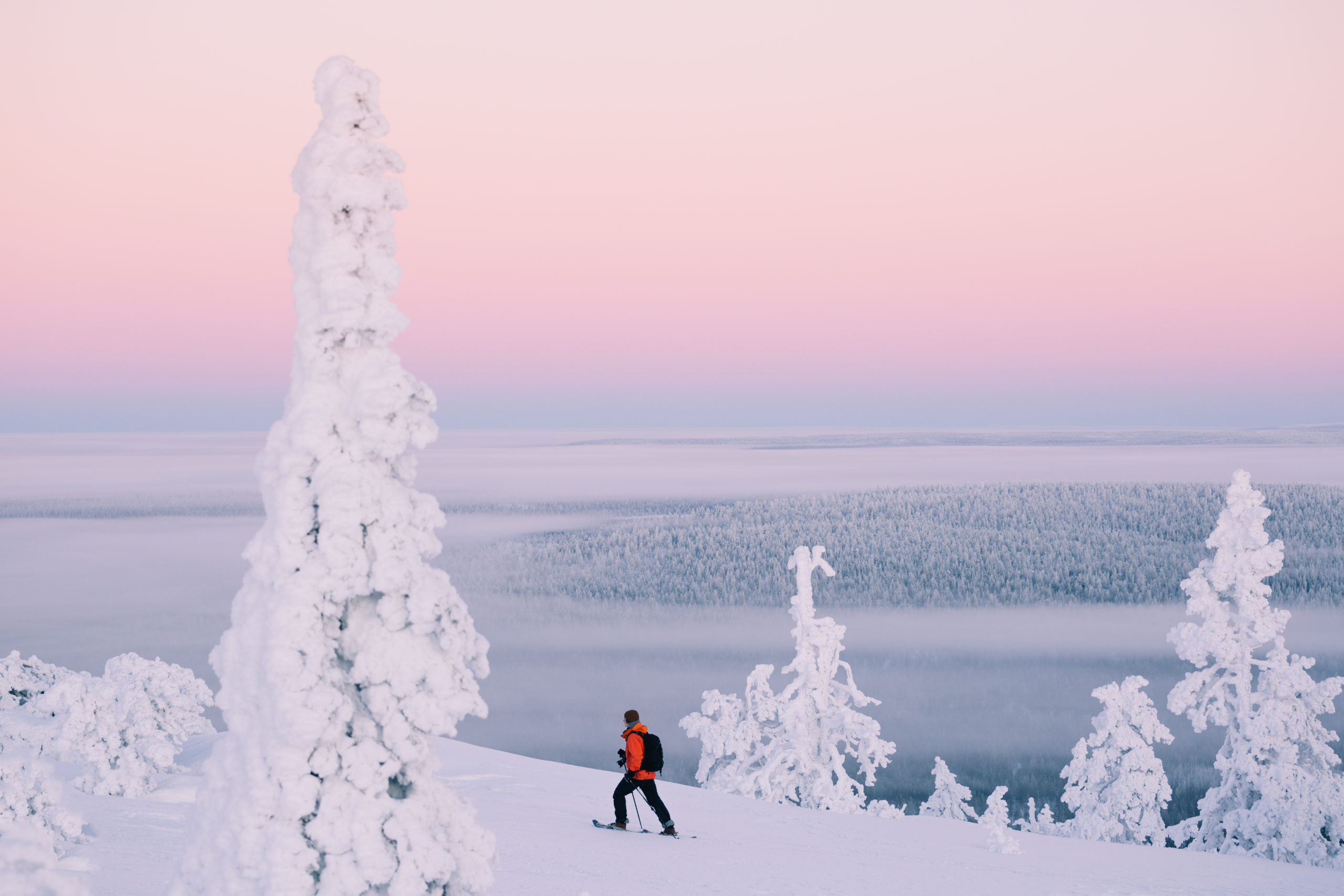 Finland_Lapland_winter_pink_sunset-scaled