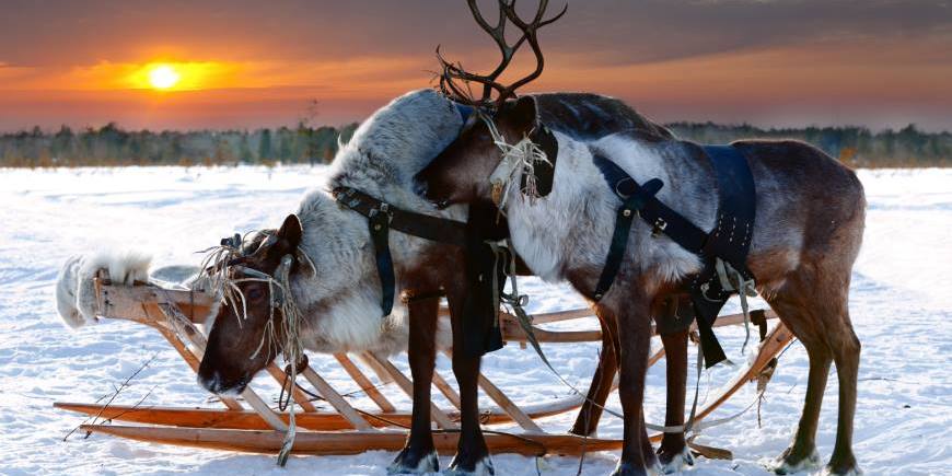 Inari Winter Break