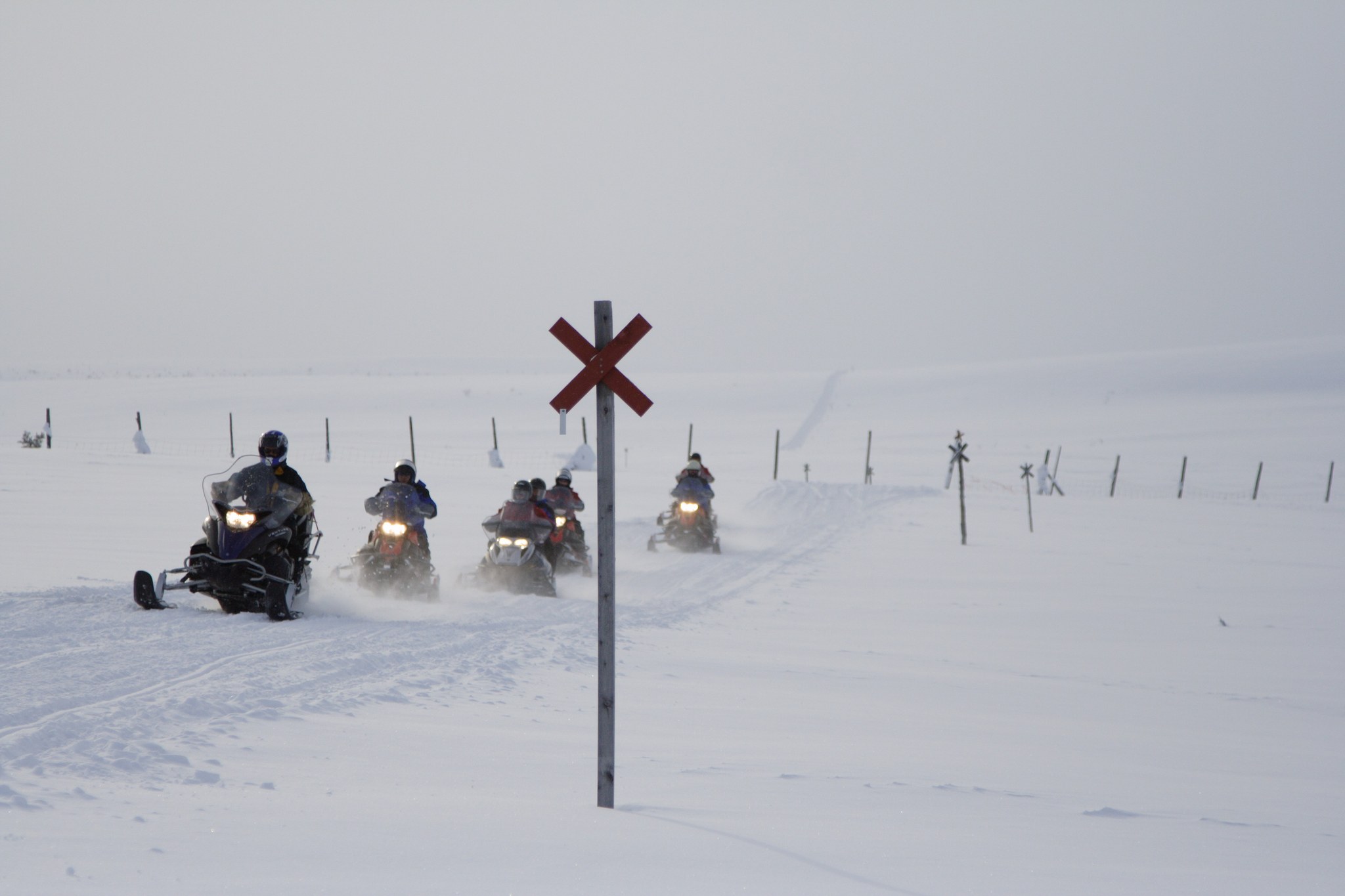 Powder-pro-safari-day-2-73 Powder-pro-safari-day-2-73