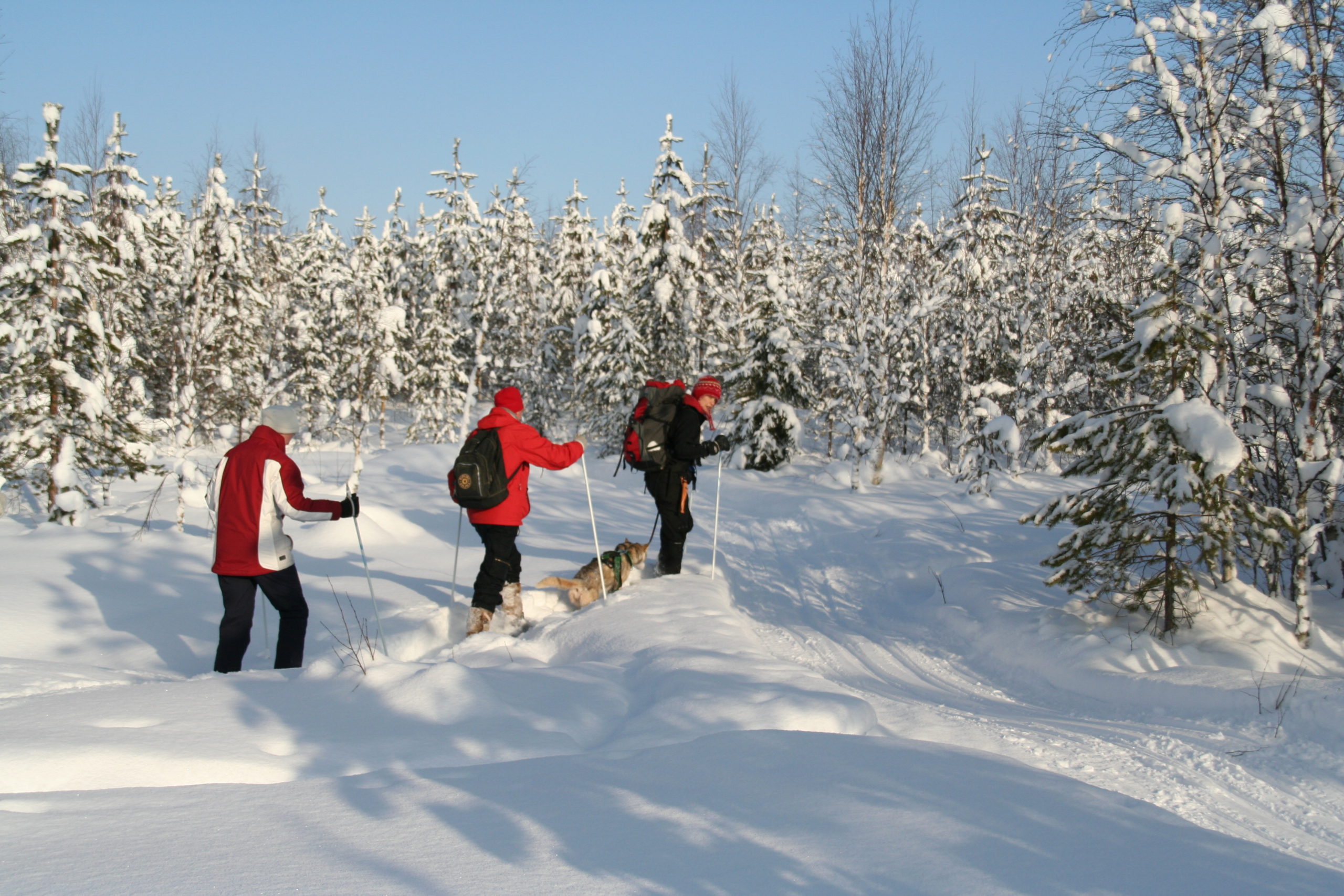 Snowshoeing-scaled