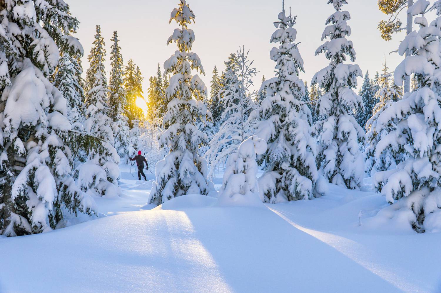 Spikbodarna-vinter-Foto-HC3A5kan-Wike-CMSTemp.width-1500