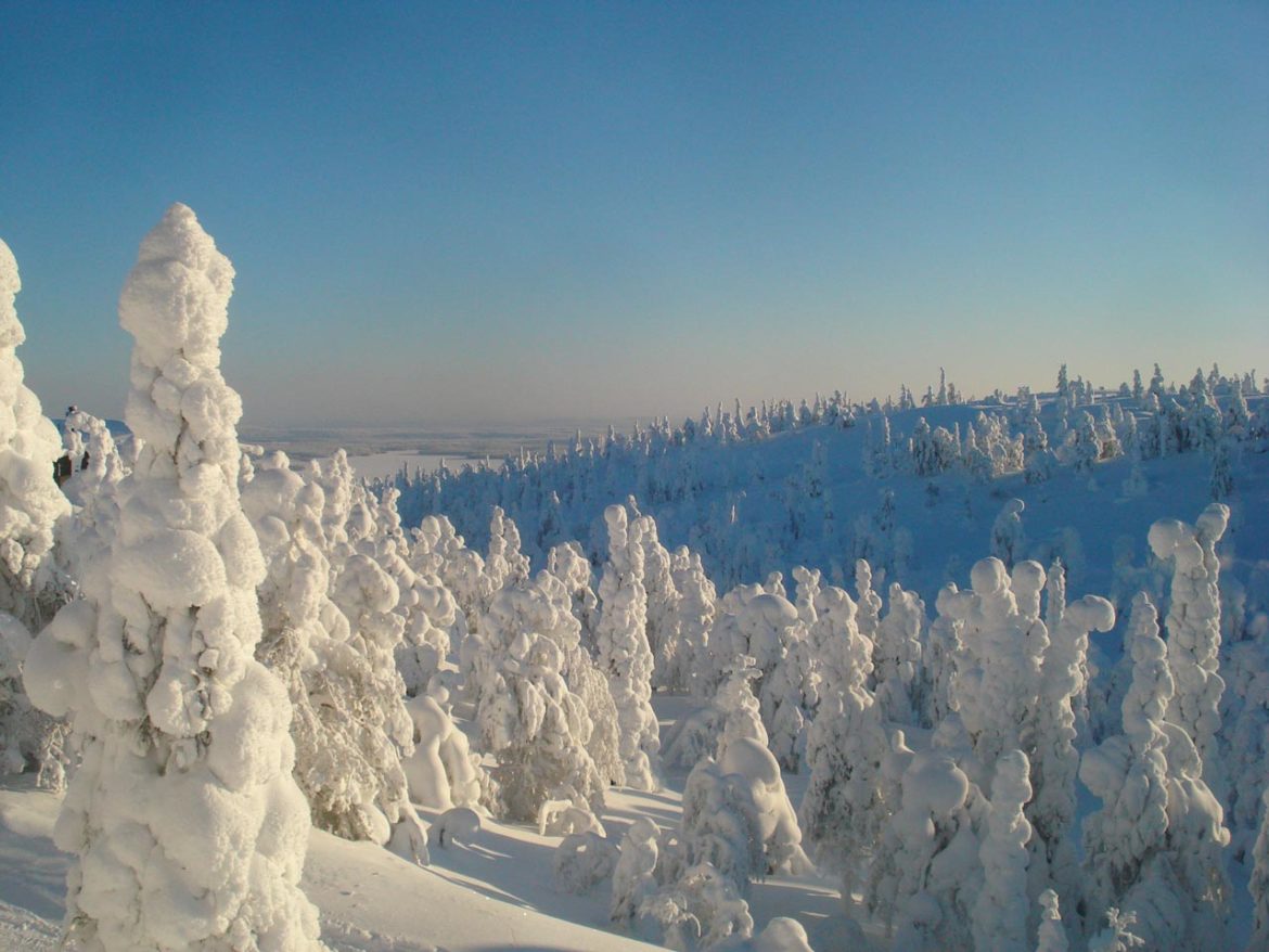 Winterreise-Lappland-2021-Virpi-Staar-Landlauf-Polarlichter-1170x878