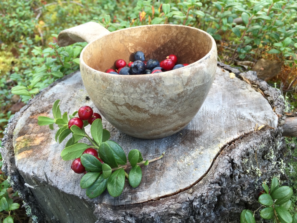Berries Berries