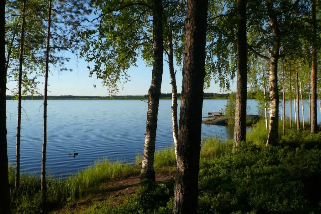 mokki-manty-jarvi