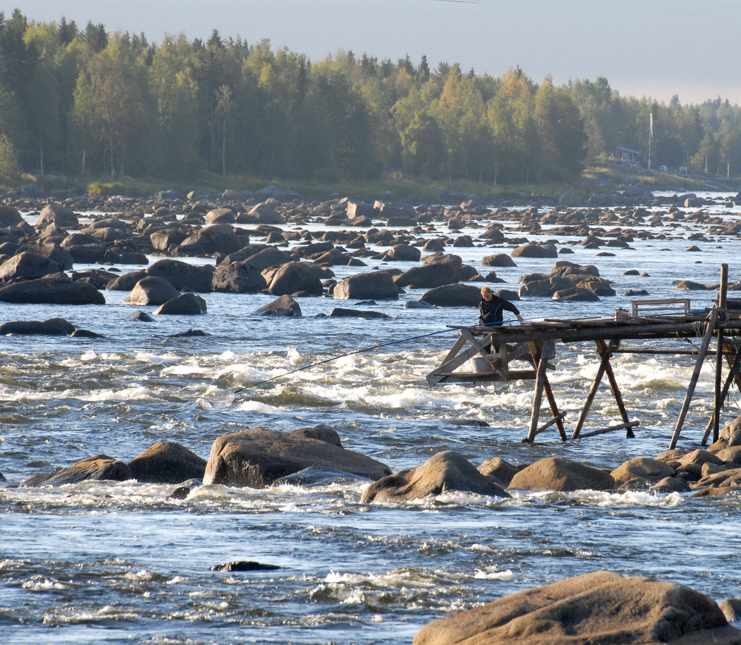 Whitefish fishing in low water Whitefish fishing in low water