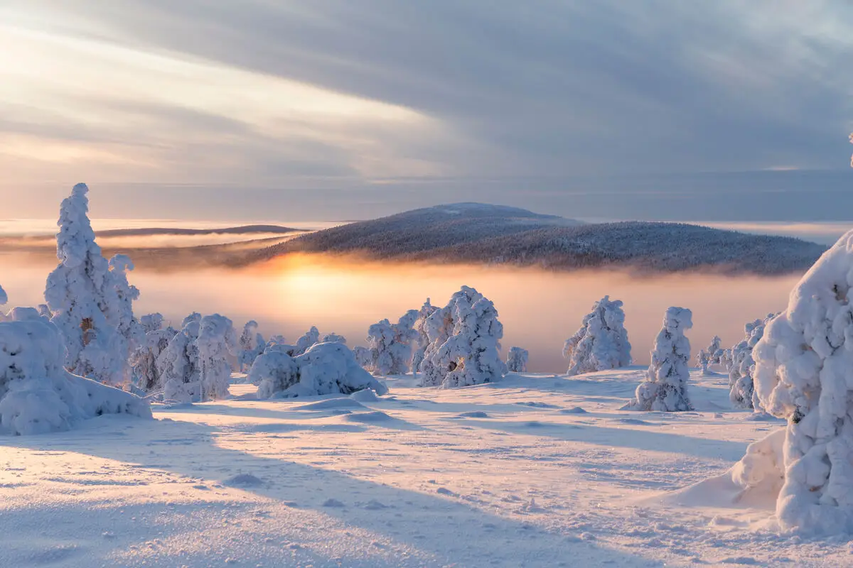 Levi_Tykkylumipuut auringonlasku (2)