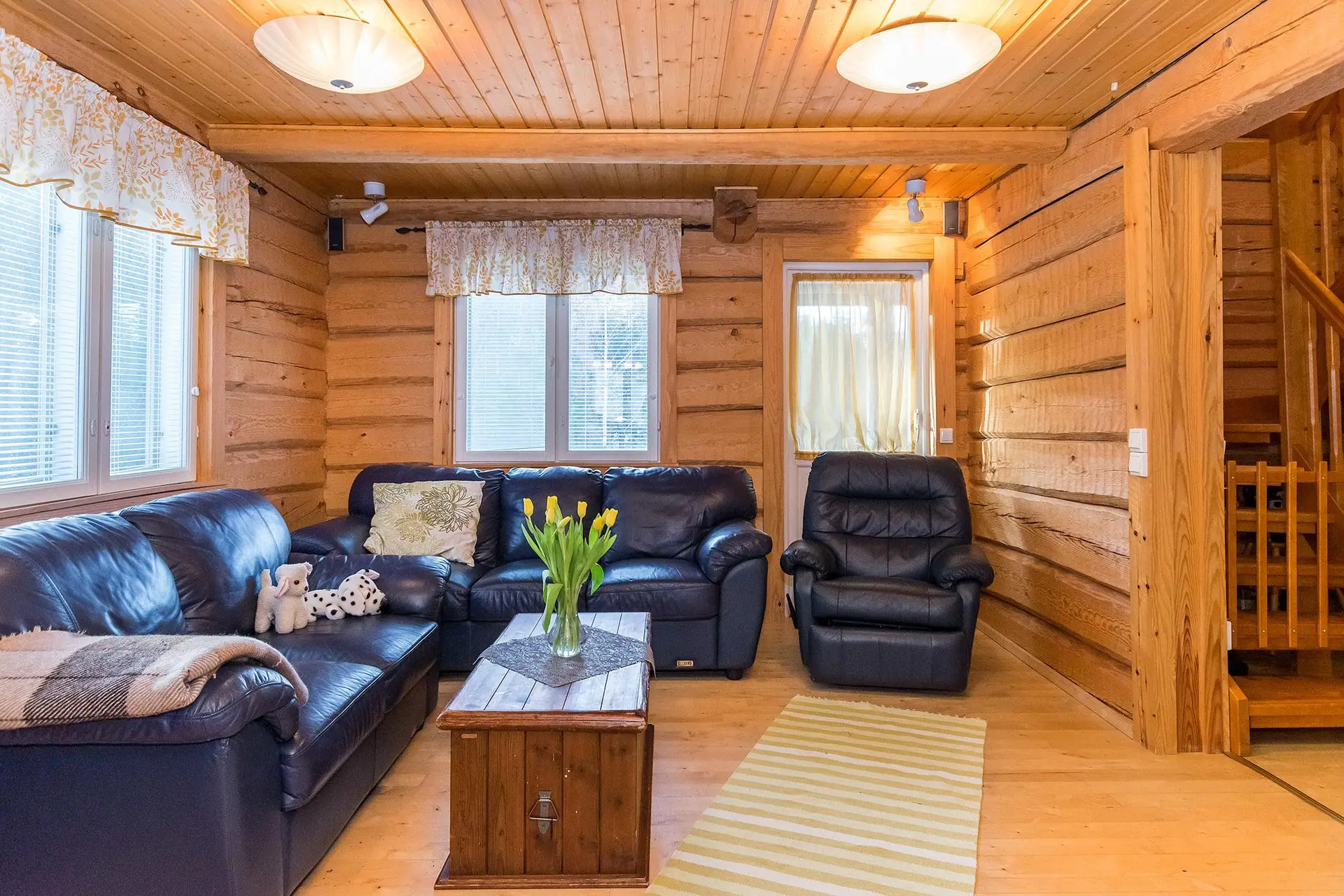 Ferienhaus FT036 in Sysmä