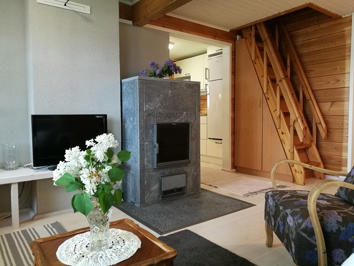 Ferienhaus FT 019 in Punkaharju