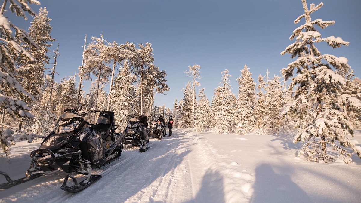 3-tägige Motorschlitten Expedition in Levi