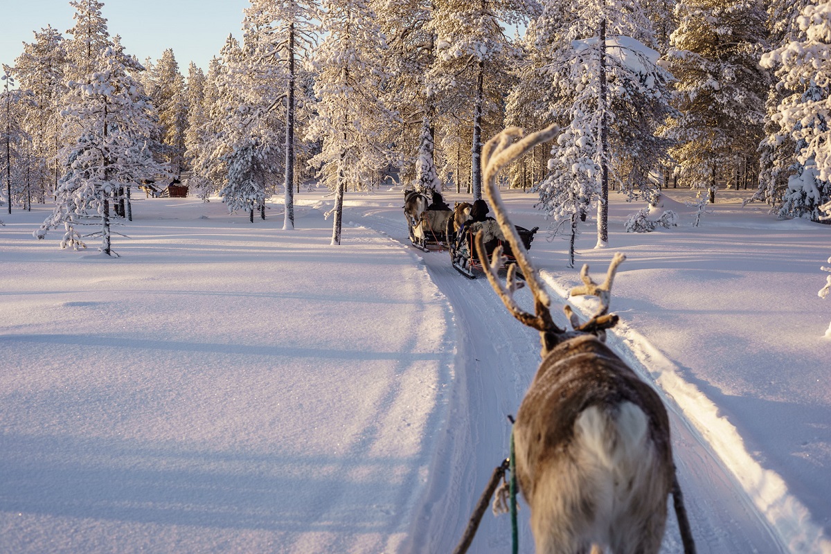 Multiaktivwoche in Salla