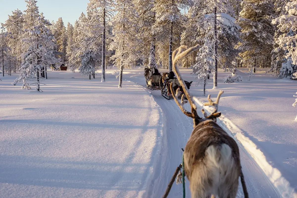 Multiaktivwoche in Salla
