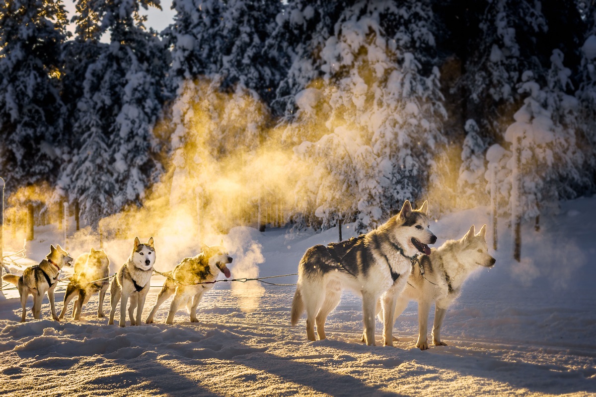 Multiaktivwoche in Salla