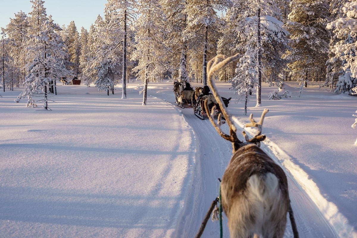 Multiaktivwoche in Salla