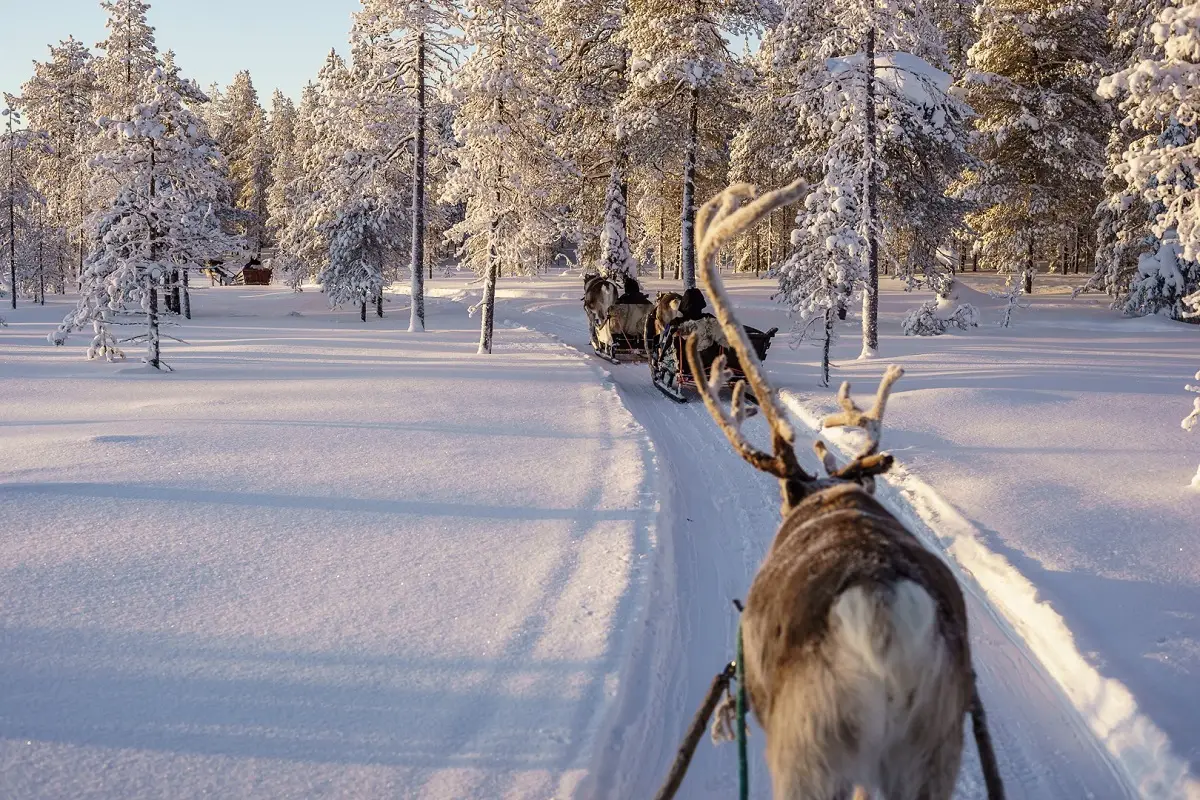 Multiaktivwoche in Salla