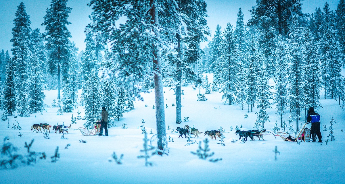 Multiaktivwoche im Star Arctic Hotel in Saariselkä