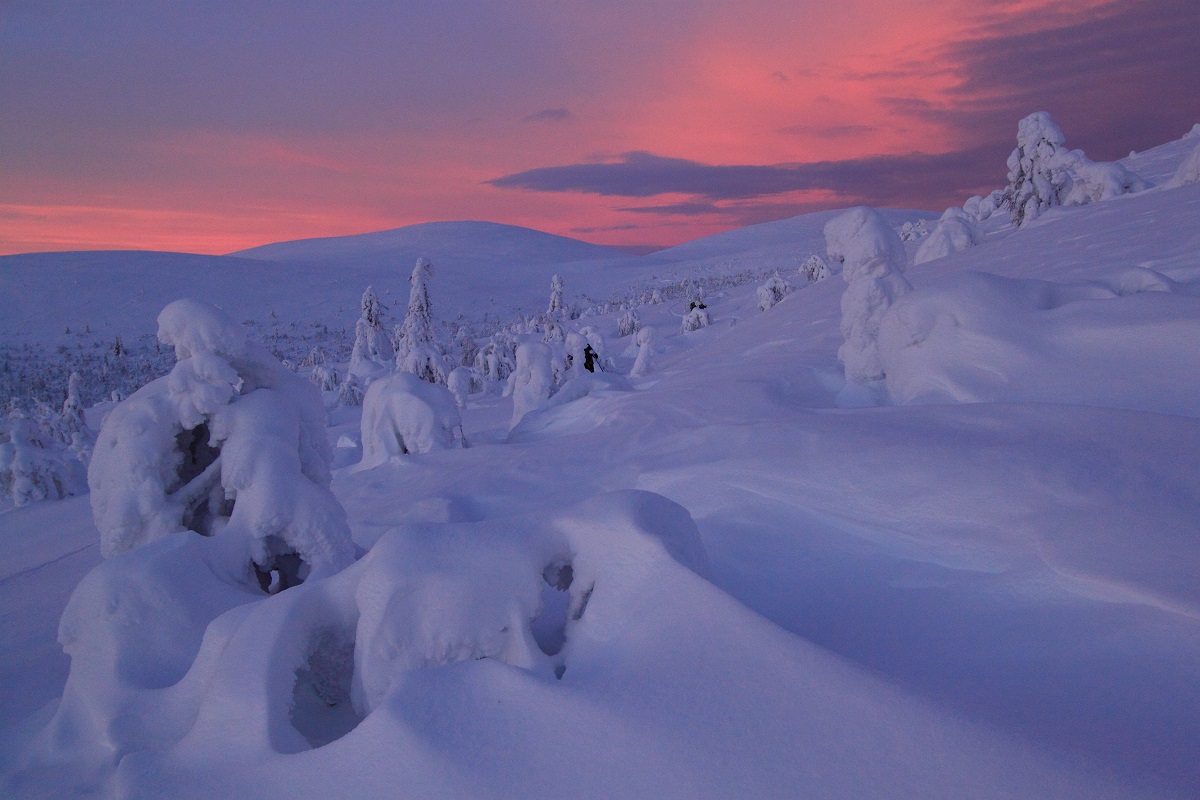 Nordlicht Skiwanderung Westlappland in Nationalpark Pallas-Ylläs