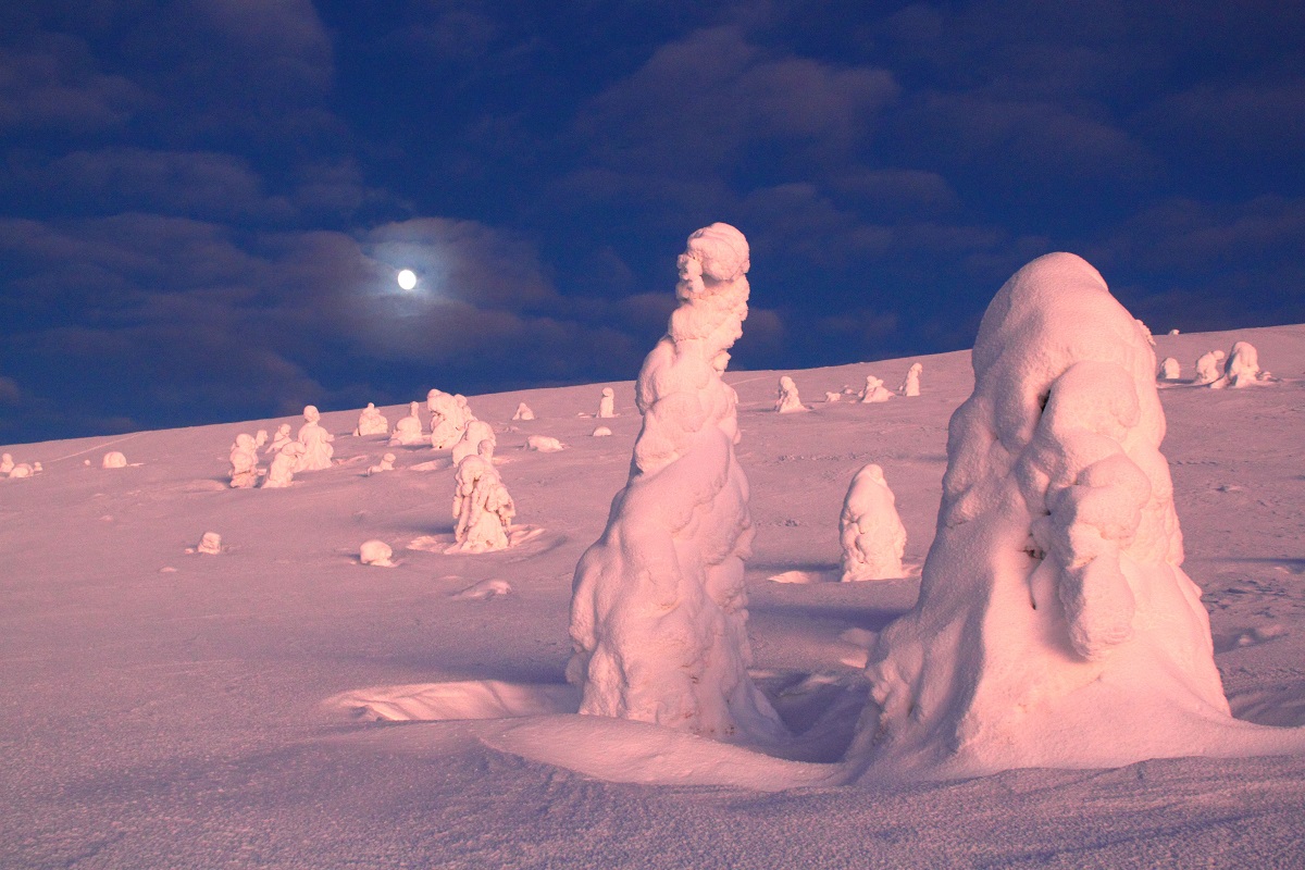 Nordlicht Skiwanderung Westlappland in Nationalpark Pallas-Ylläs