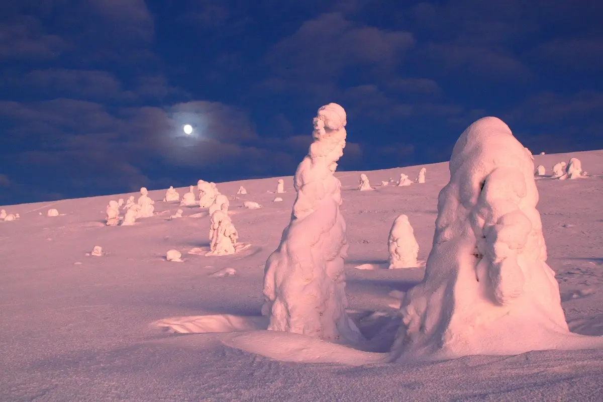 Nordlicht Skiwanderung Westlappland in Nationalpark Pallas-Ylläs