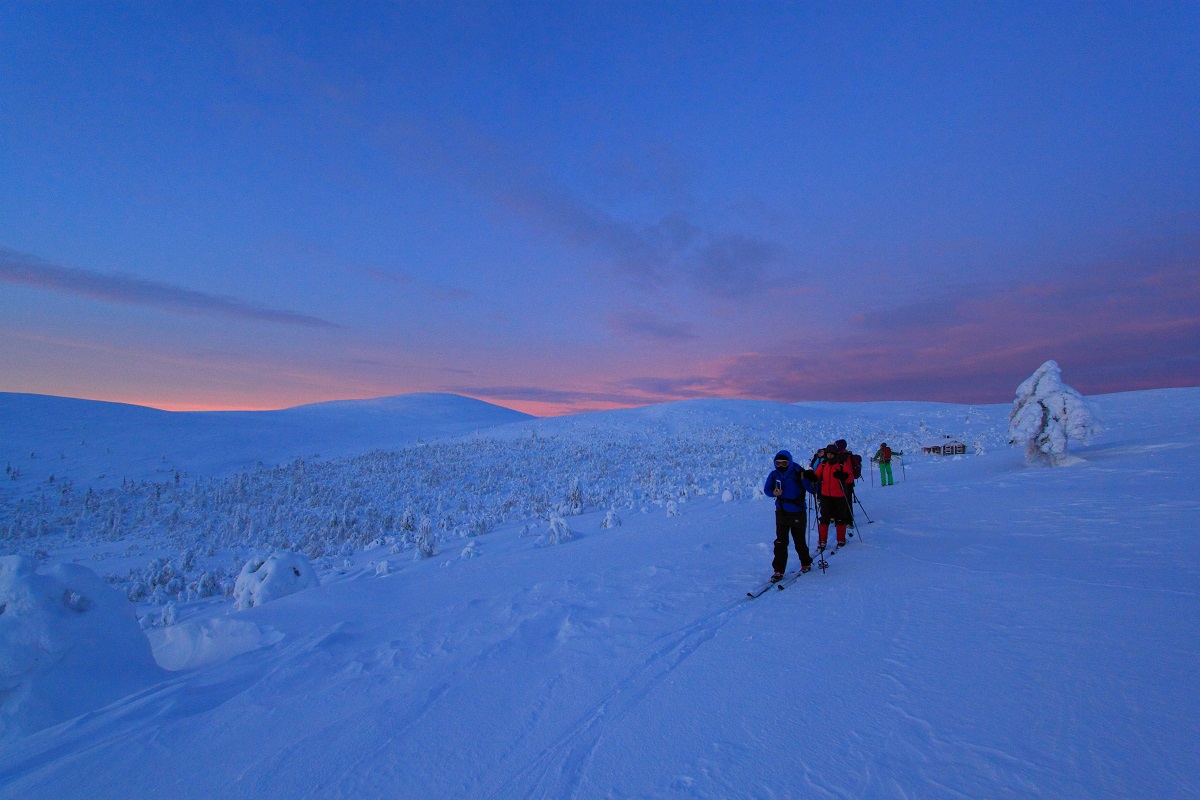 Nordlicht Skiwanderung Westlappland in Nationalpark Pallas-Ylläs