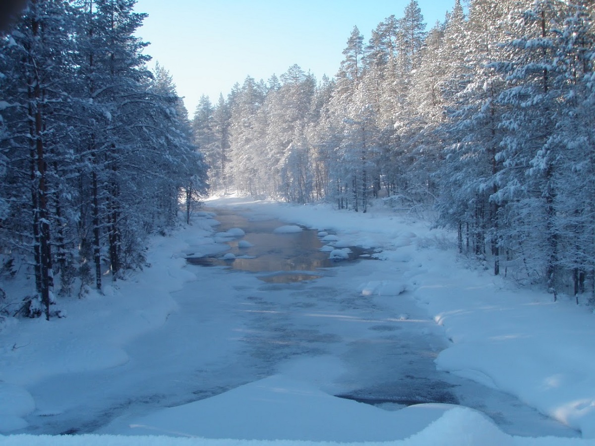 Off the Trails Schneeschuhtrek im Hossa Nationalpark