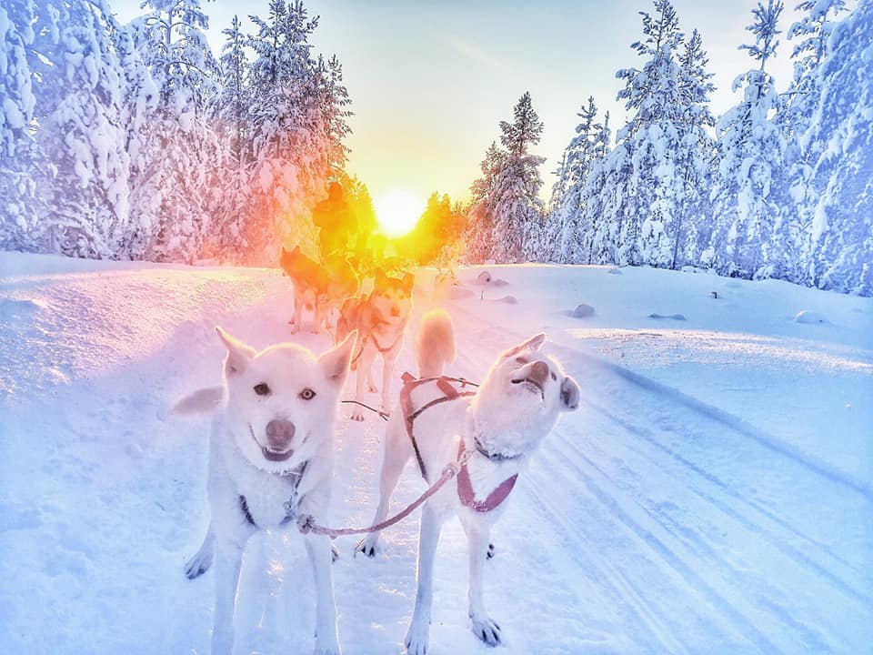 Multiaktivwoche Saija's Winter Traum
