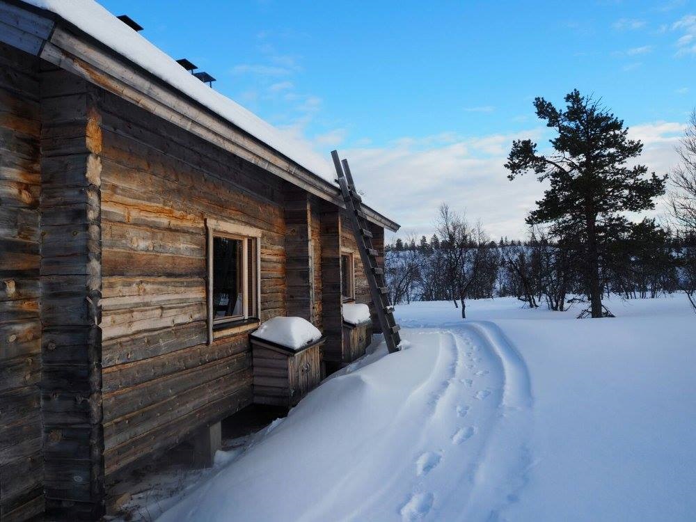 Schneeschuhtrek Pallas-Ylläs Nationalpark