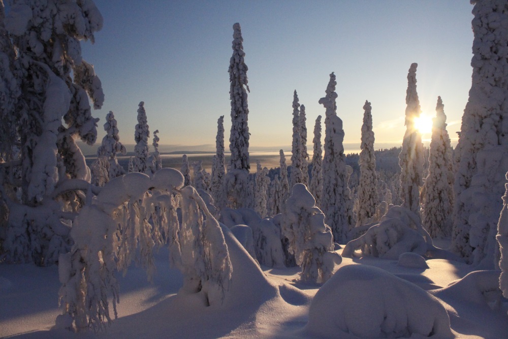 Schneeschuhtrek Pallas-Ylläs Nationalpark