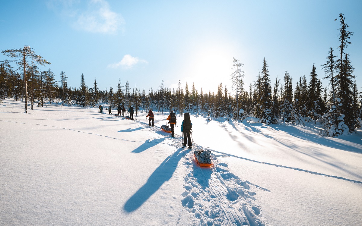 Schneeschuhtrek Pallas-Ylläs Nationalpark