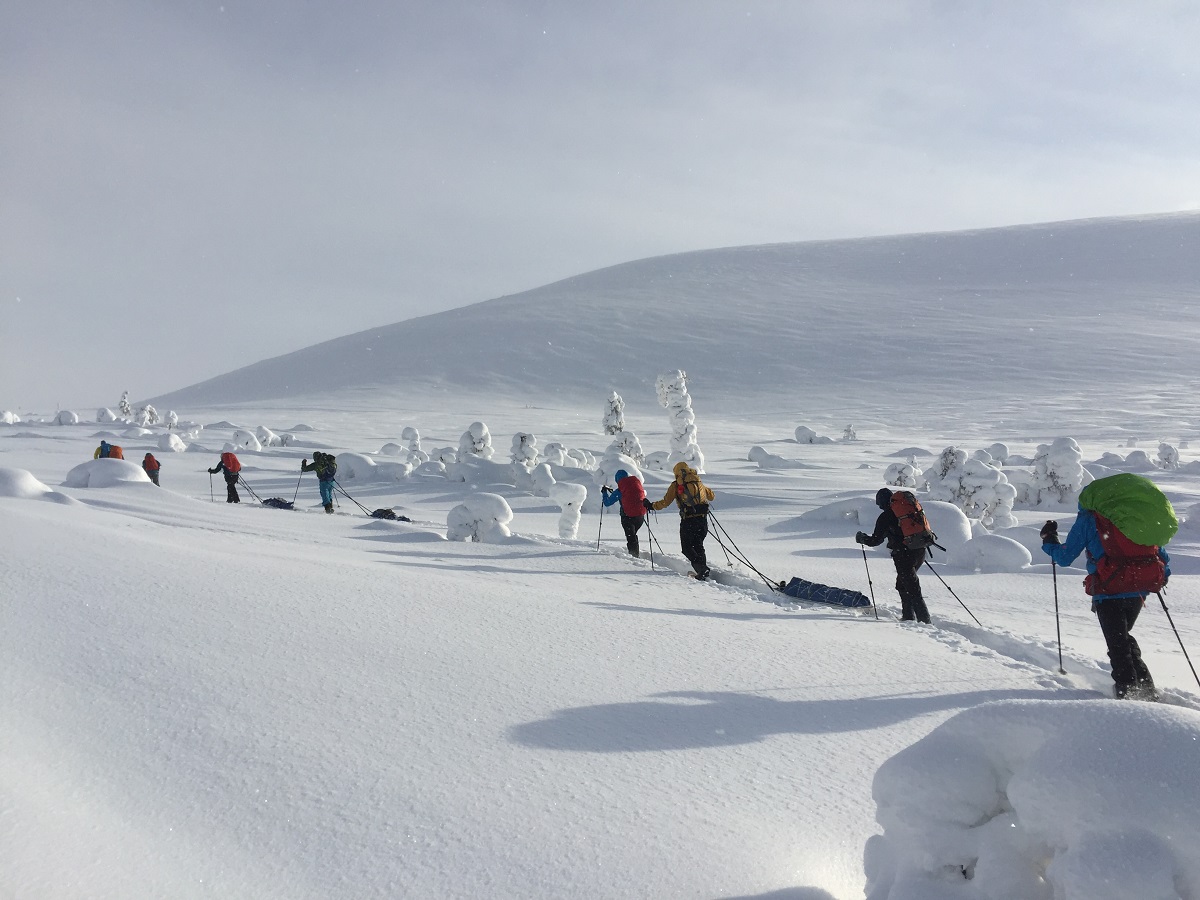 Schneeschuhtrek Pallas-Ylläs Nationalpark