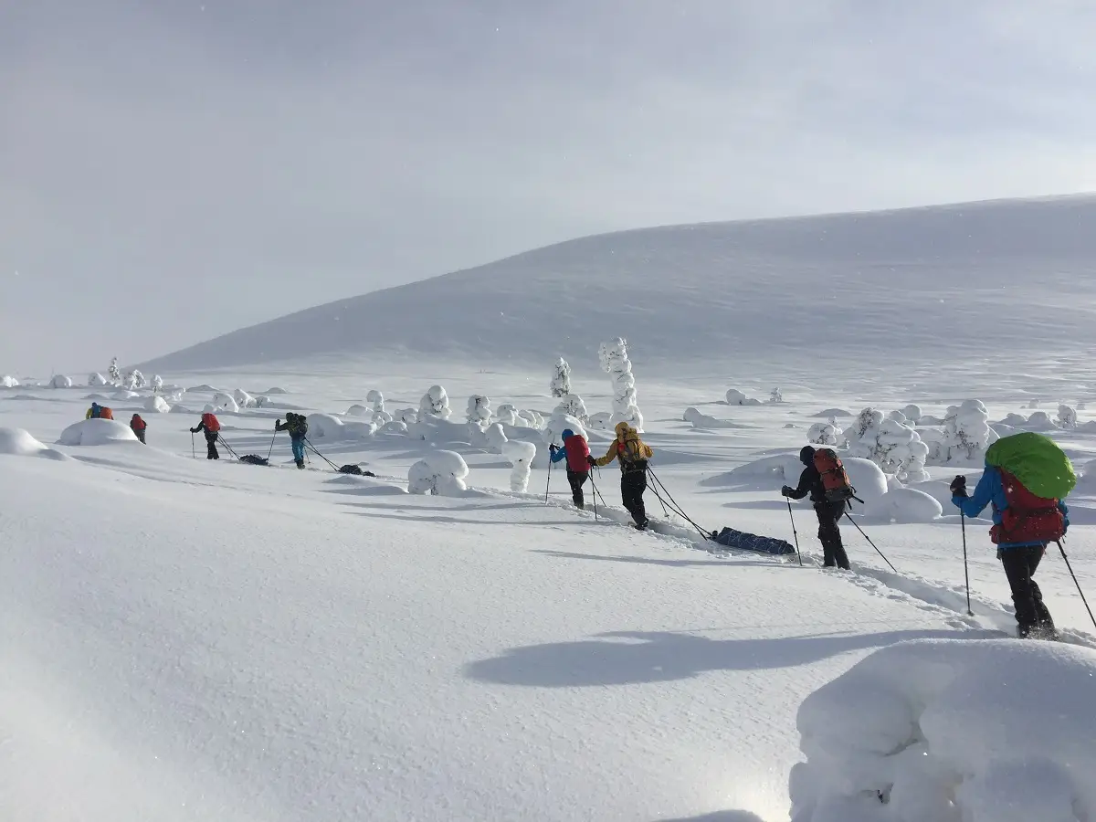 Schneeschuhtrek Pallas-Ylläs Nationalpark
