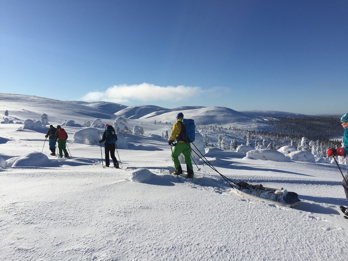 Schneeschuhtrek Pallas-Ylläs Nationalpark