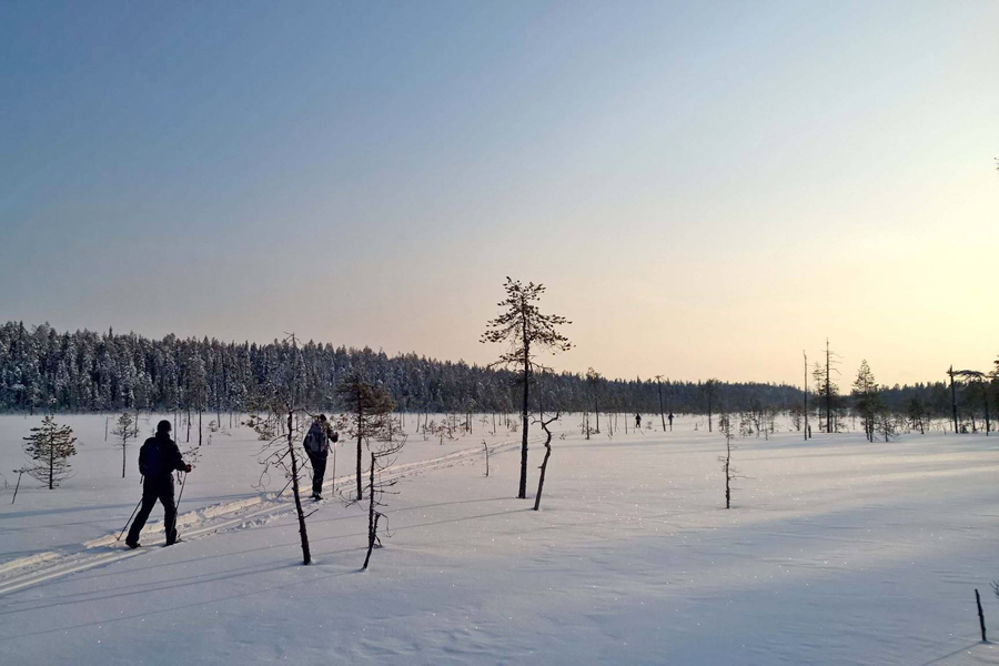 Skiwanderung Finnlands wilder osten in Kuusamo