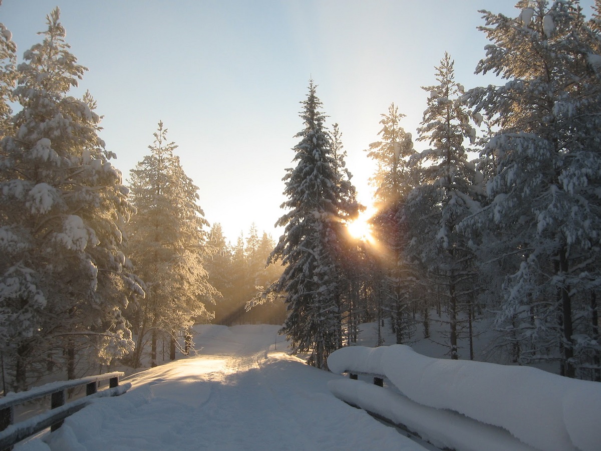 Skiwanderung Finnlands wilder osten in Kuusamo