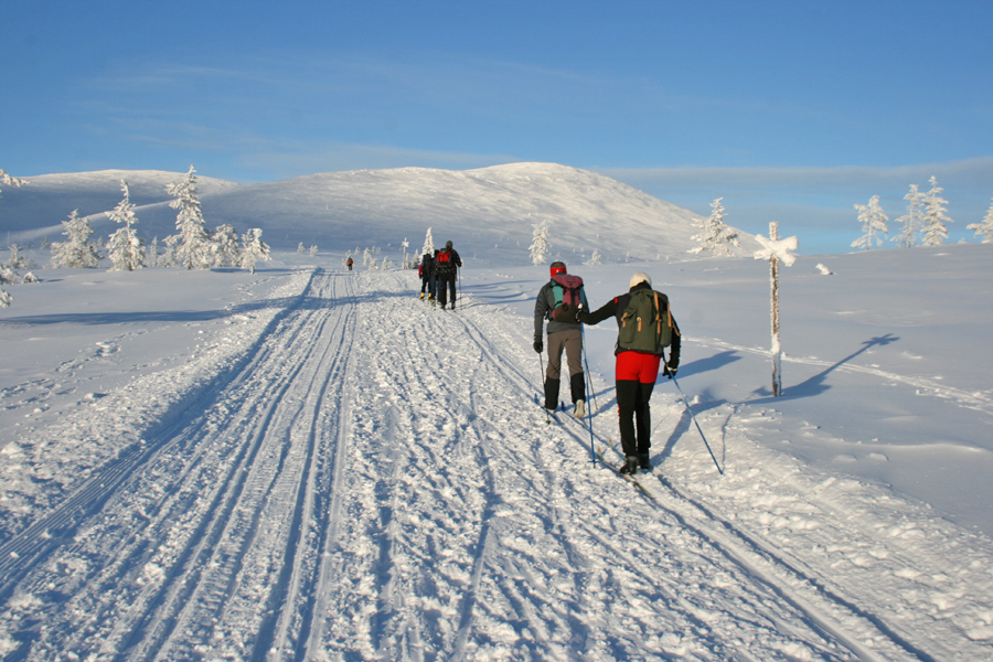 Skiwanderung Rauhala-Pallas-Hetta