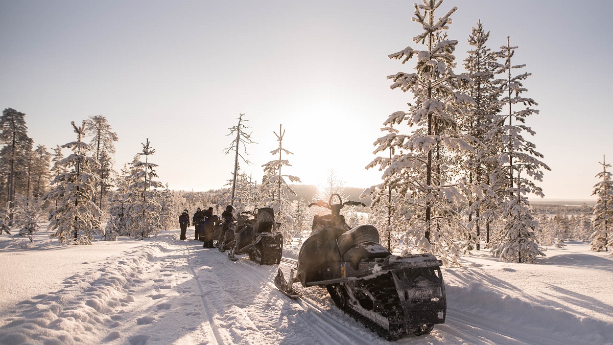 Motorschlitten Tour de Lapland in Levi