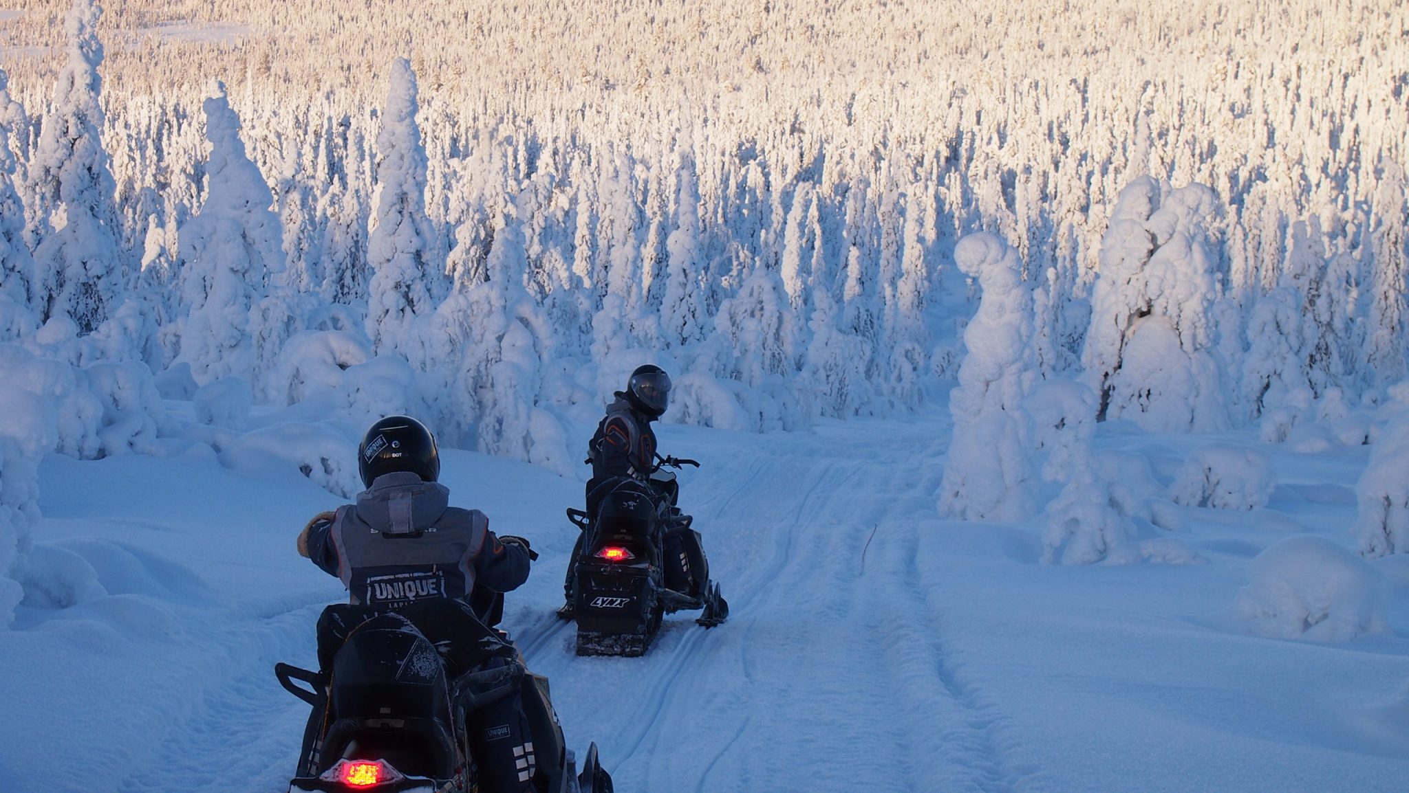 Motorschlitten Tour de Lapland in Levi