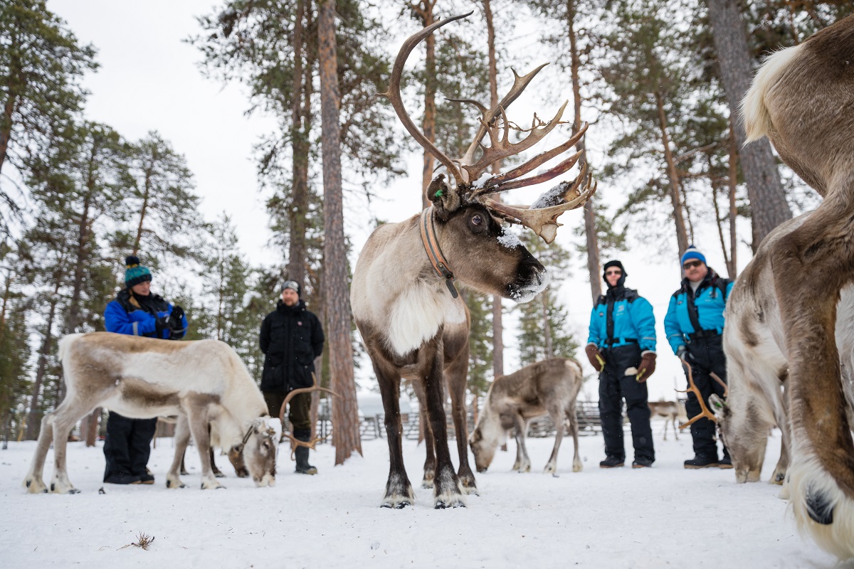 Multiaktivwoche im Wilderness Hotel Inari