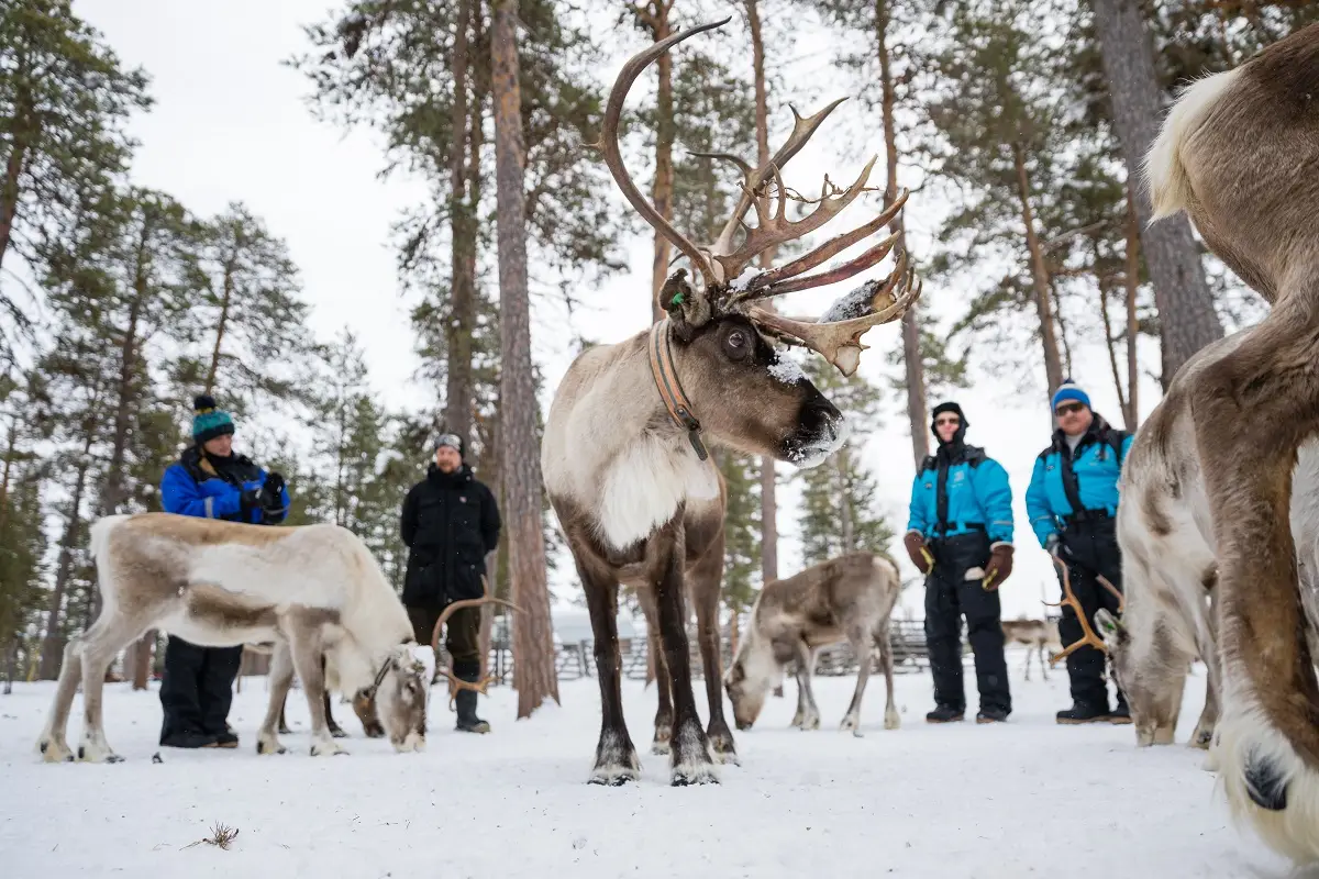 Multiaktivwoche im Wilderness Hotel Inari