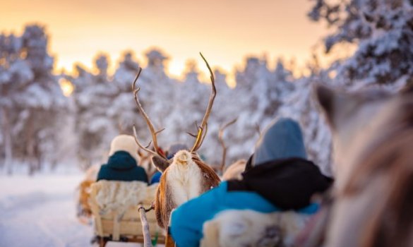 Multiaktivwoche im Wilderness Hotel Muotka in Saariselkä