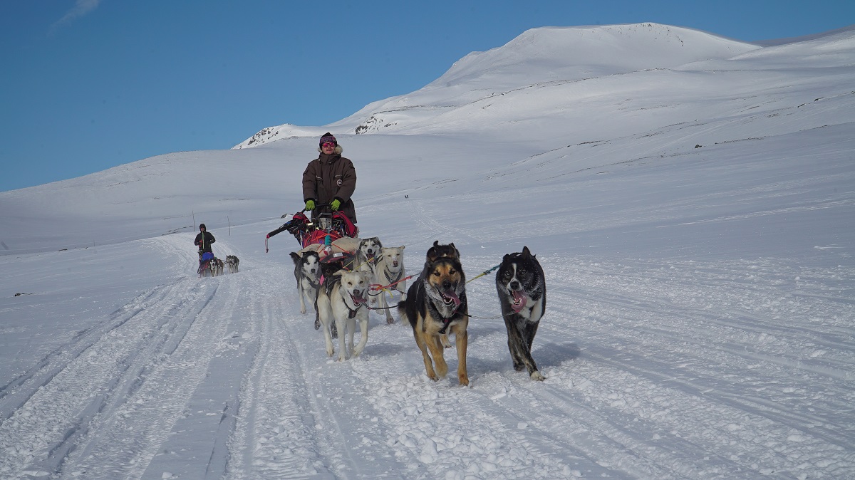 Multiaktivwoche im Hotel Cahkal in Kilpisjärvi