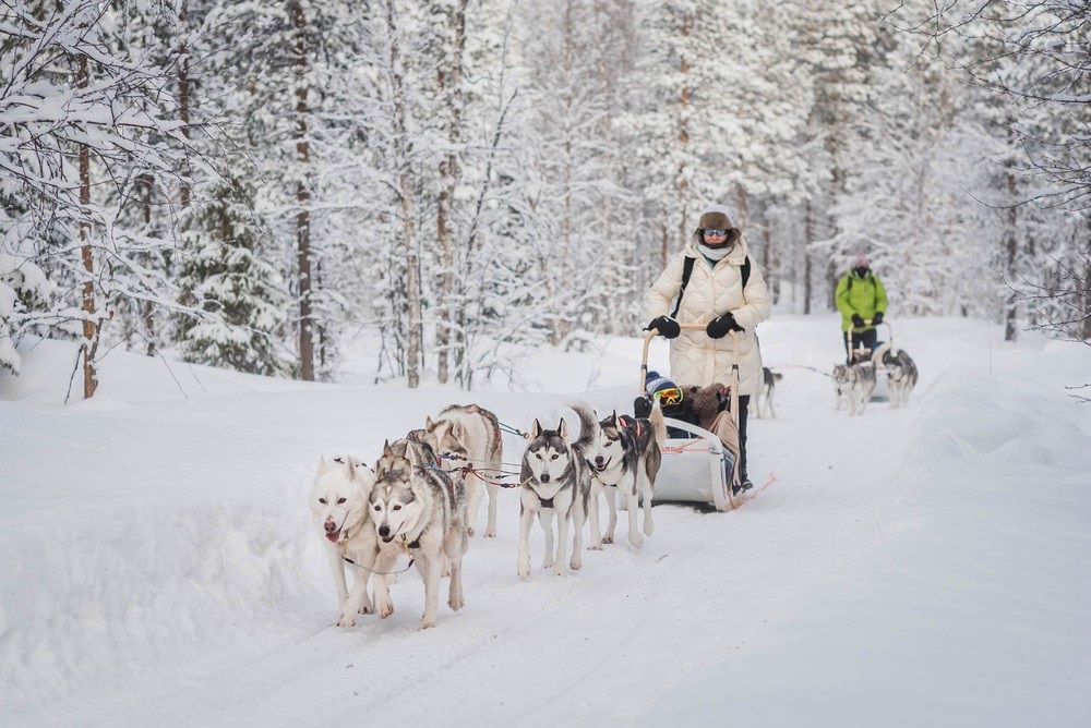 Polar Lights Tours in Levi