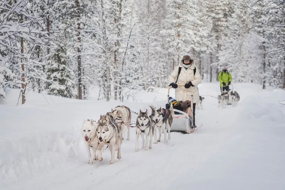 Polar Lights Tours in Levi