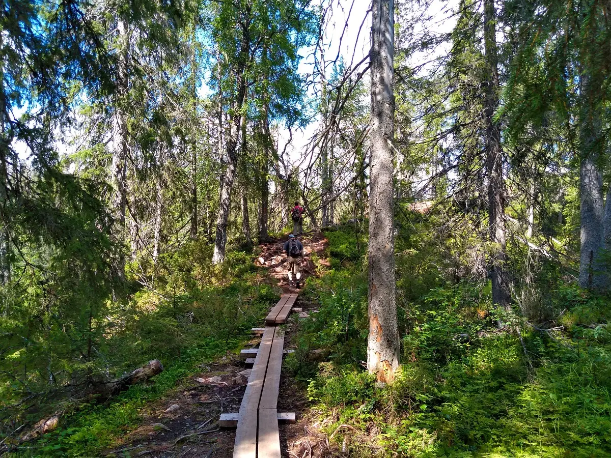 Abenteuerwoche Kultur und Wildtiere