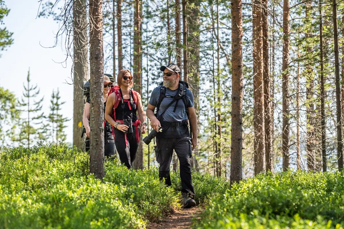 Klassische Wanderwoche Süd-Lappland