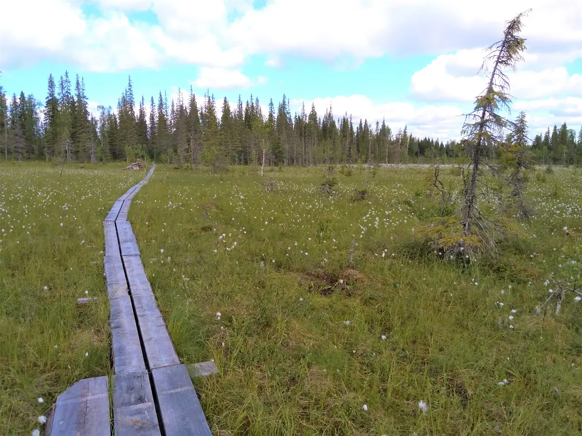 Klassische Wanderwoche Süd-Lappland