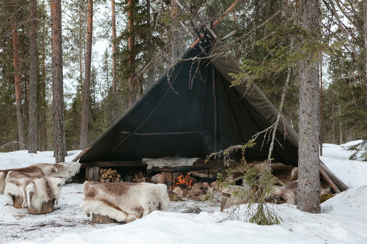 Schneemobil-Abenteuer durch Lapplands Wälder_07