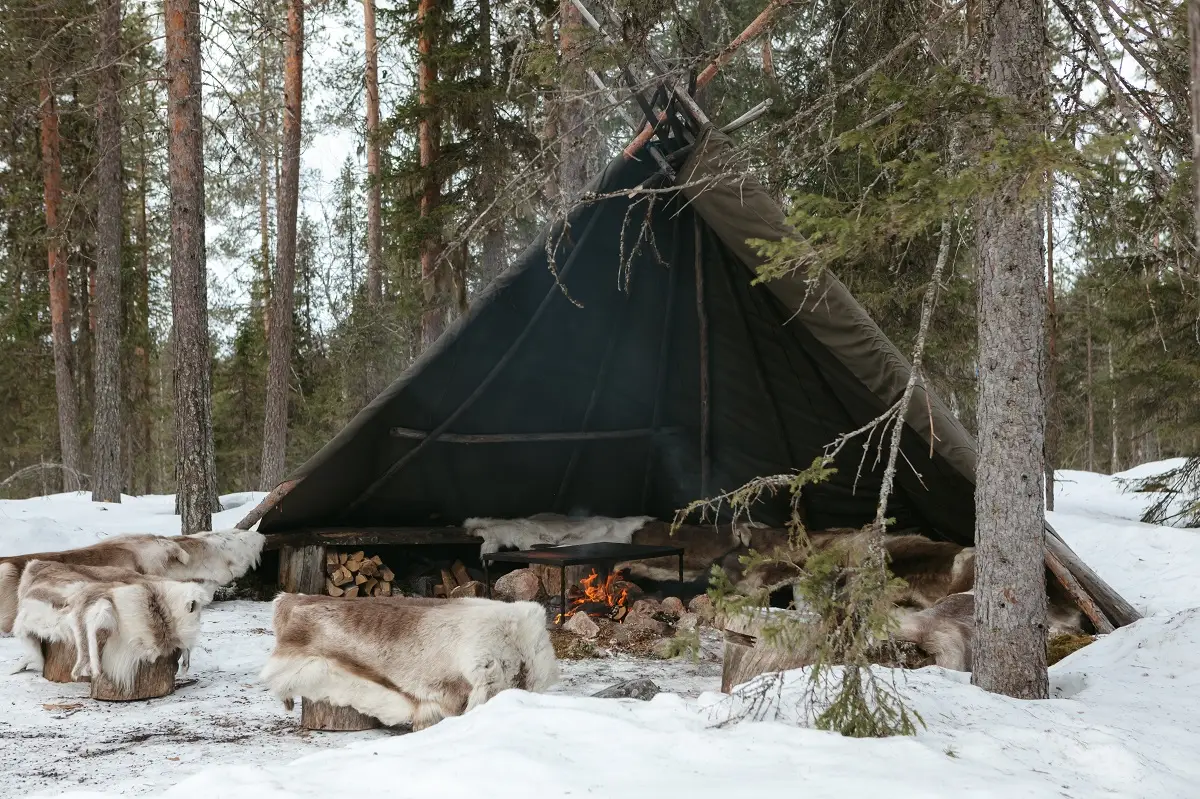 Schneemobil-Abenteuer durch Lapplands Wälder_07