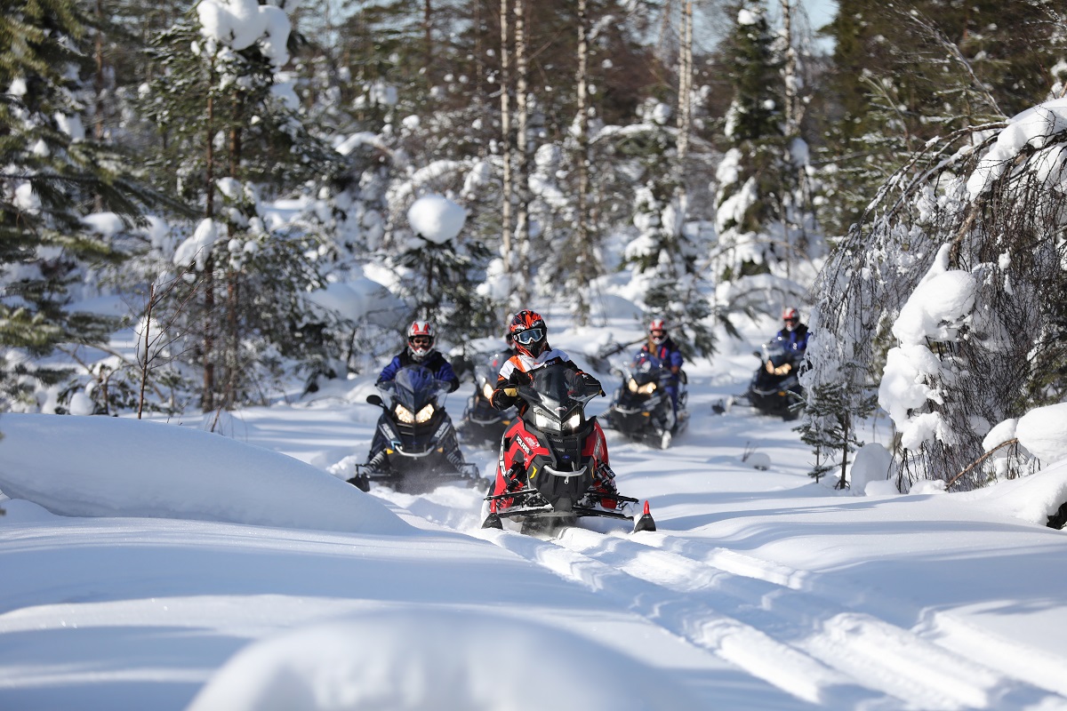 Schneemobil-Abenteuer durch Lapplands Wälder_09