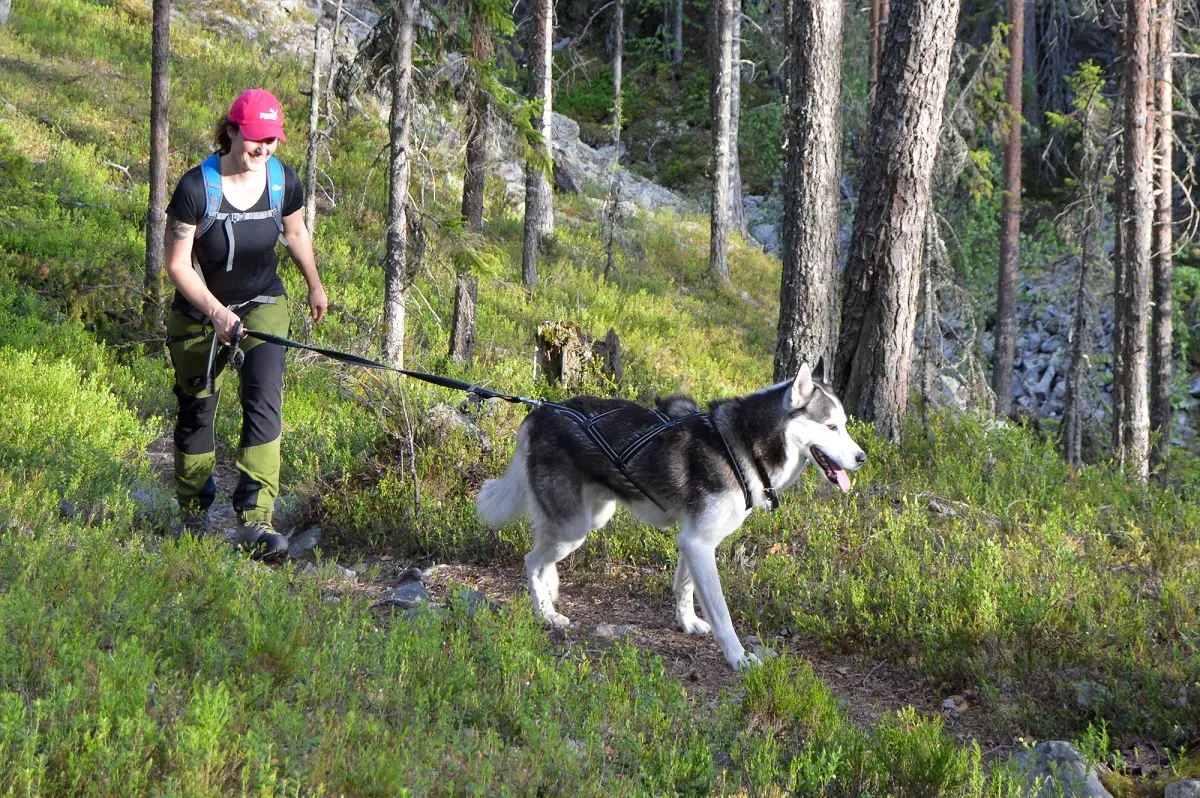Sommerabenteuer in drei Nationalparks