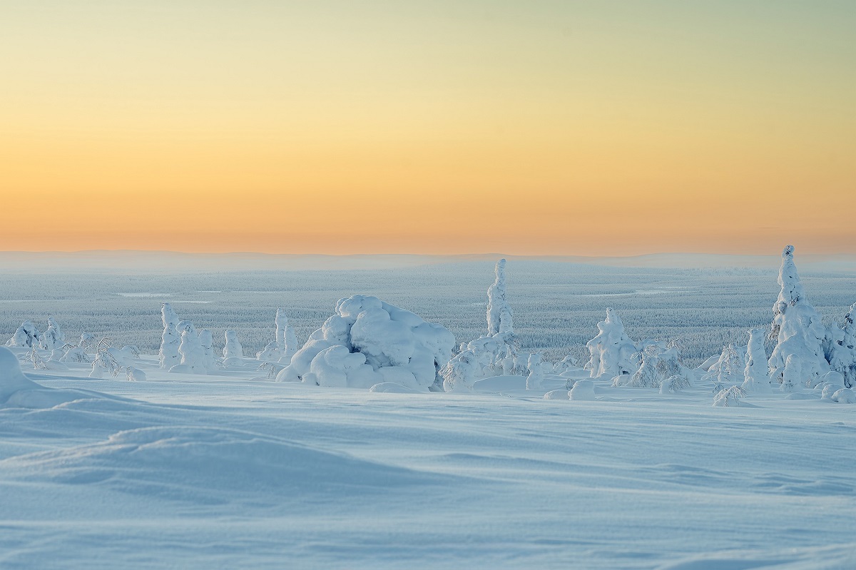 Erlebniswoche Nivunki Village in Finnisch Lappland